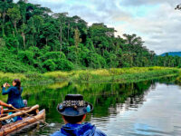 Tour to Manu 4 days/3nights